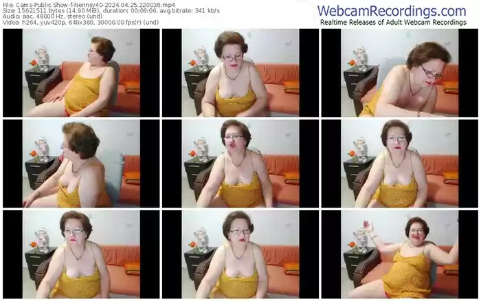 2024/04/25/cams-nennsy40-22-00-36