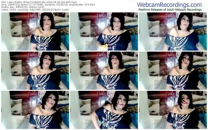 2024/04/26/cams-indiancatz-01-14-55