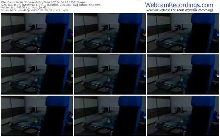2024/04/26/cams-robbyshawz-08-58-13