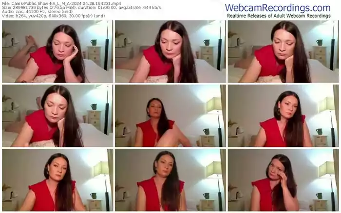 2024/04/28/cams-a_l_m_a-19-42-31