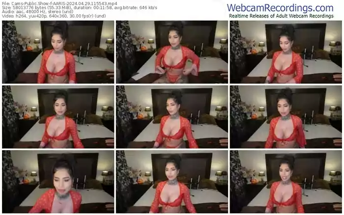 2024/04/29/cams-aaris-11-55-43