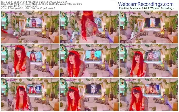 2024/05/08/cams-aspenpeeks-00-07-35