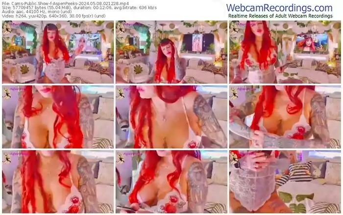 2024/05/08/cams-aspenpeeks-02-12-28