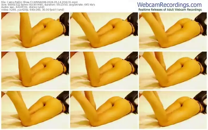 2024/05/14/cams-carina008-20-41-31