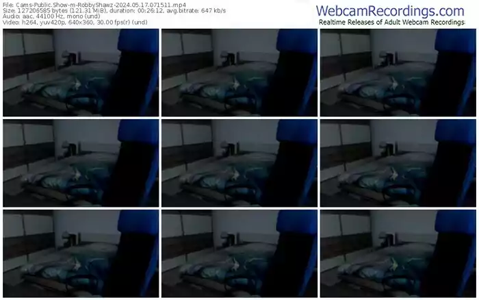 2024/05/17/cams-robbyshawz-07-15-11