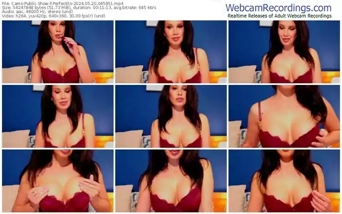 2024/05/20/cams-perfectits-04-59-51