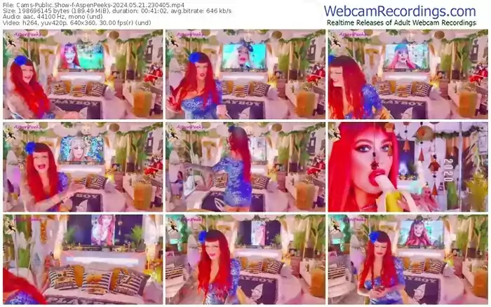 2024/05/21/cams-aspenpeeks-23-04-05