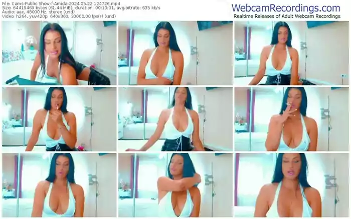 2024/05/22/cams-amida-12-47-26