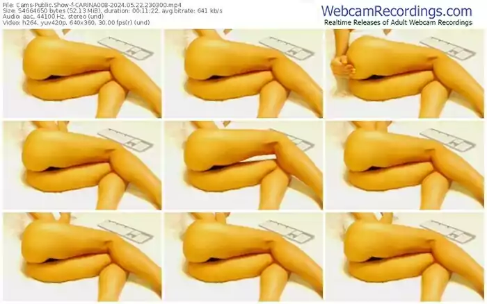 2024/05/22/cams-carina008-23-03-00