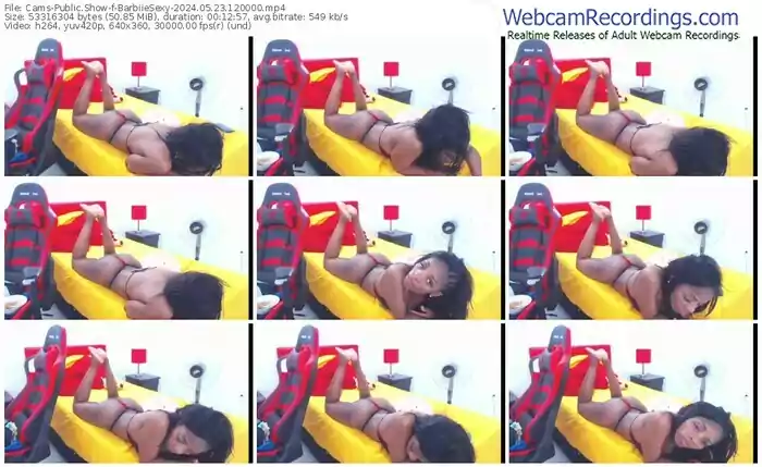 2024/05/23/cams-barbiiesexy-12-00-00
