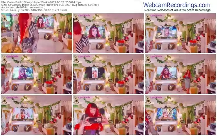 2024/05/28/cams-aspenpeeks-20-06-44