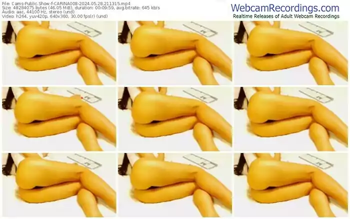 2024/05/28/cams-carina008-21-13-15