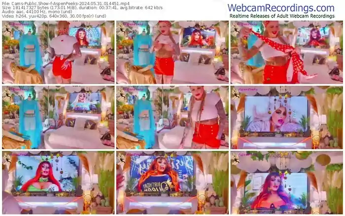 2024/05/31/cams-aspenpeeks-01-44-51