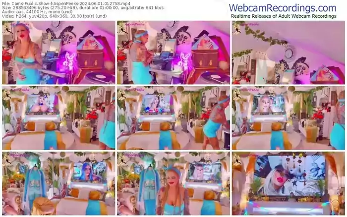 2024/06/01/cams-aspenpeeks-01-27-58