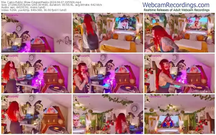 2024/06/07/cams-aspenpeeks-03-55-06