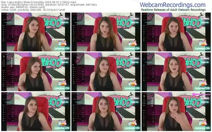 2024/06/07/cams-vinnasky-17-46-12