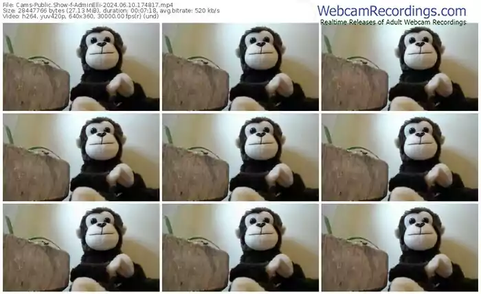 2024/06/10/cams-adminelli-17-48-17