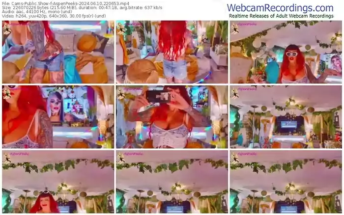 2024/06/10/cams-aspenpeeks-22-06-53