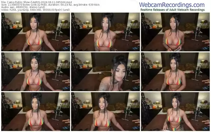 2024/06/11/cams-aaris-08-53-44