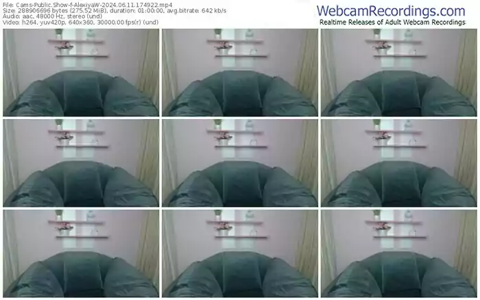 2024/06/11/cams-alexiyaw-17-49-22