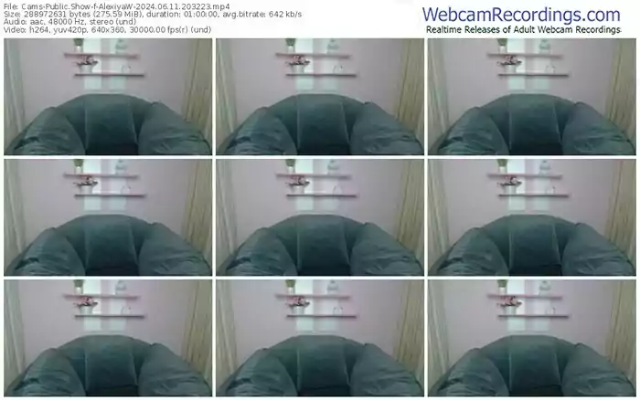 2024/06/11/cams-alexiyaw-20-32-23