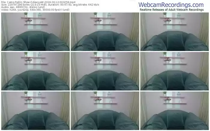 2024/06/12/cams-alexiyaw-00-32-58