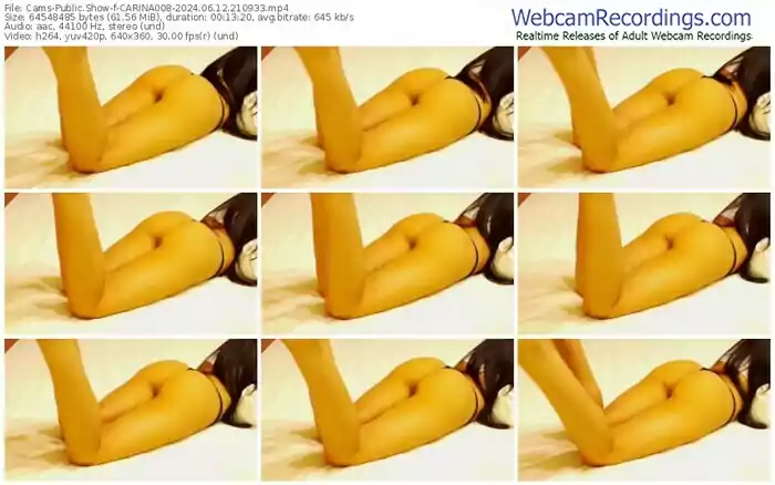 2024/06/12/cams-carina008-21-09-33