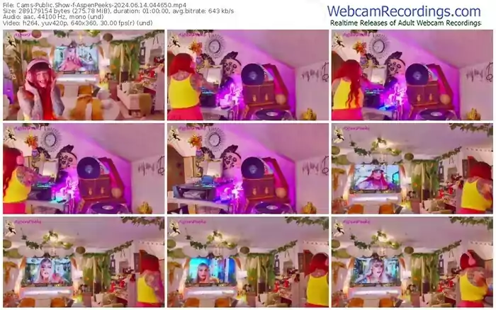 2024/06/14/cams-aspenpeeks-04-46-50