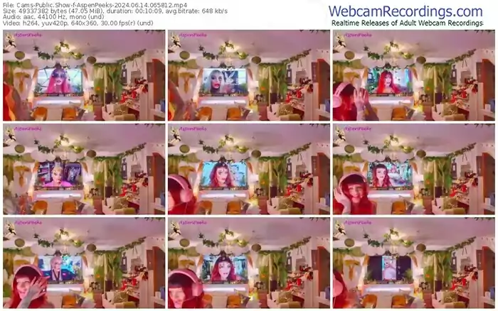 2024/06/14/cams-aspenpeeks-06-58-12