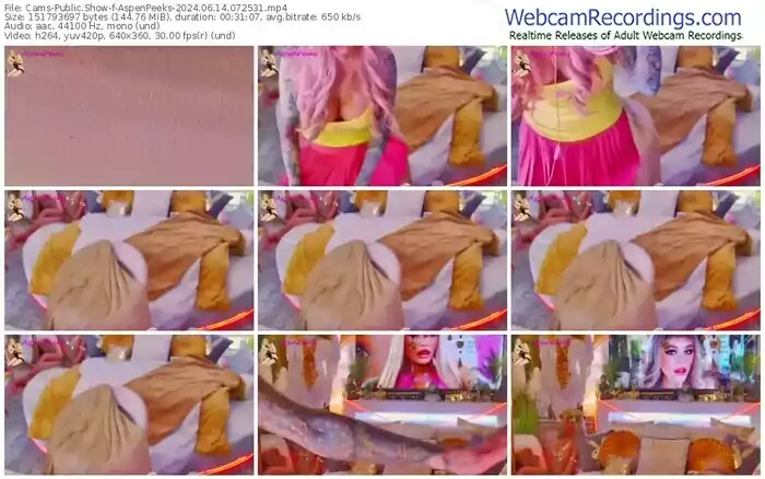 2024/06/14/cams-aspenpeeks-07-25-31