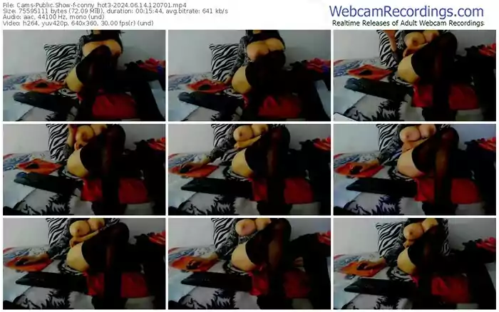 2024/06/14/cams-conny_hot3-12-07-01