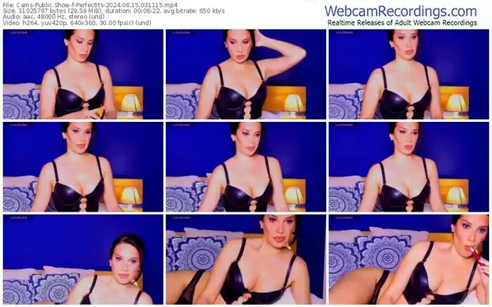 2024/06/15/cams-perfectits-03-11-15