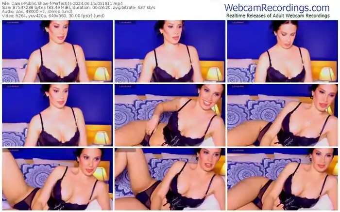 2024/06/15/cams-perfectits-05-18-11