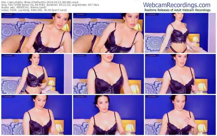2024/06/15/cams-perfectits-06-18-41