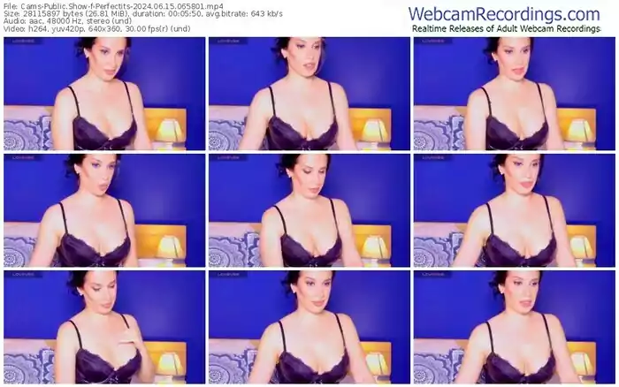 2024/06/15/cams-perfectits-06-58-01