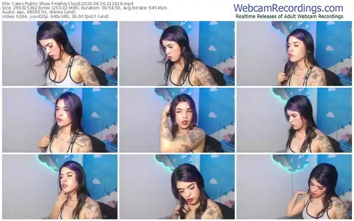 2024/06/16/cams-halleycloud-21-16-16