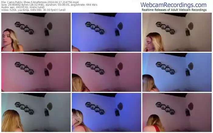 2024/06/17/cams-anatorress-21-47-56