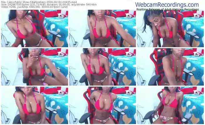 2024/06/18/cams-barbiiesexy-10-04-35