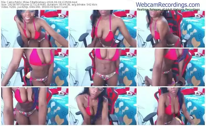 2024/06/18/cams-barbiiesexy-11-05-08