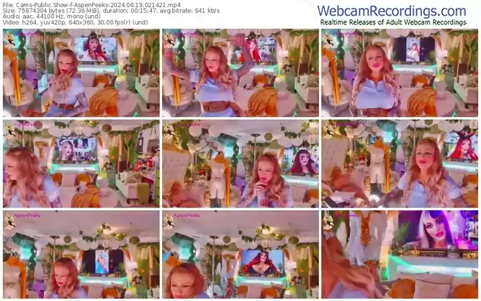 2024/06/19/cams-aspenpeeks-02-14-21