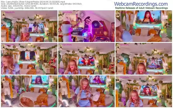 2024/06/19/cams-aspenpeeks-03-28-35