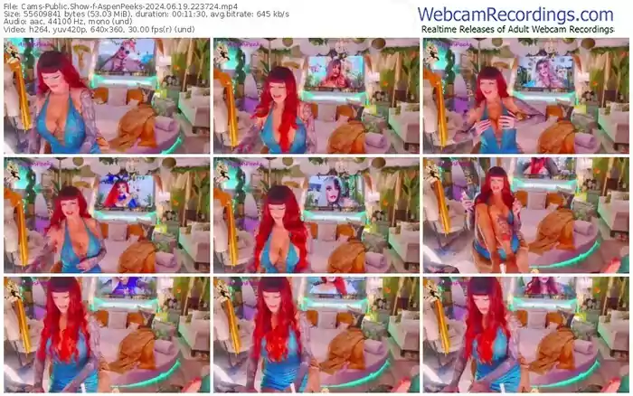 2024/06/19/cams-aspenpeeks-22-37-24