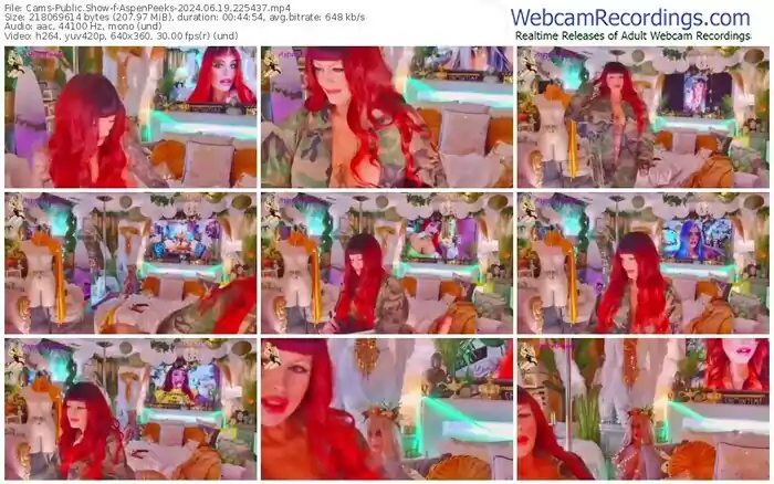 2024/06/19/cams-aspenpeeks-22-54-37