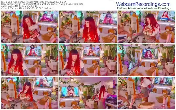 2024/06/20/cams-aspenpeeks-20-05-10