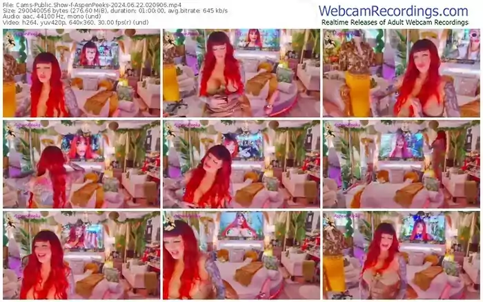 2024/06/22/cams-aspenpeeks-02-09-06