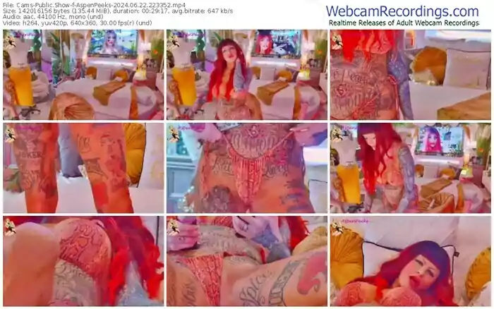 2024/06/22/cams-aspenpeeks-22-33-52