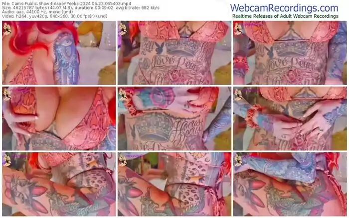 2024/06/23/cams-aspenpeeks-06-54-03