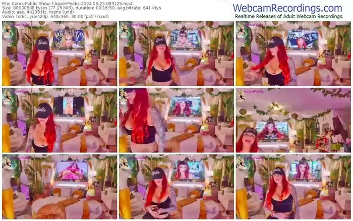 2024/06/23/cams-aspenpeeks-08-31-25