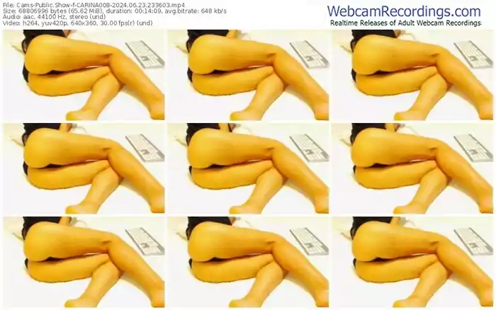 2024/06/23/cams-carina008-23-36-03