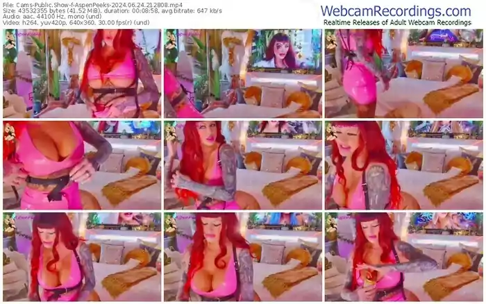 2024/06/24/cams-aspenpeeks-21-28-08